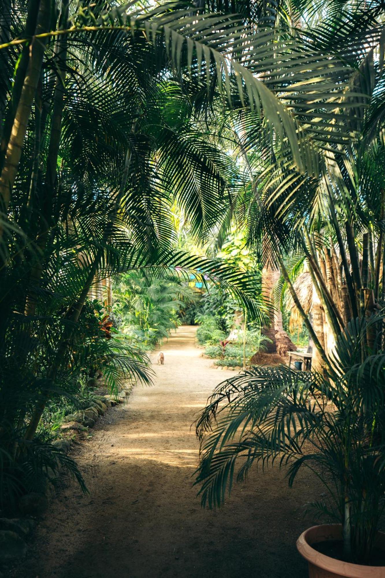 Junto Al Rio Bungalows & Suites サユリタ エクステリア 写真
